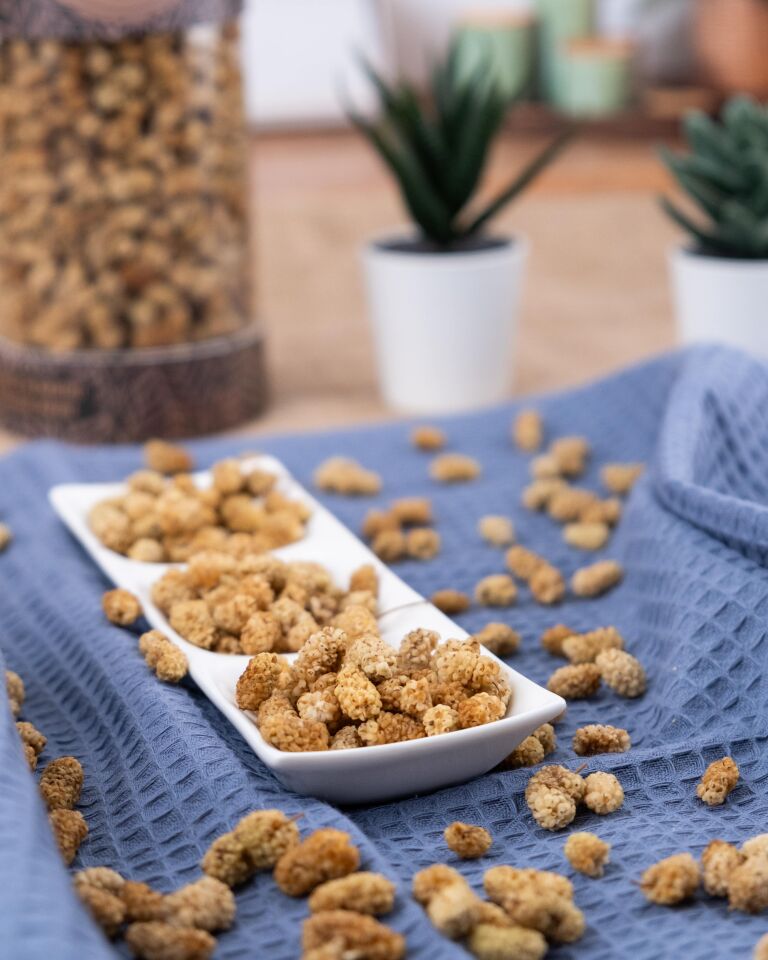 Bereket Malatya Dut Kurusu